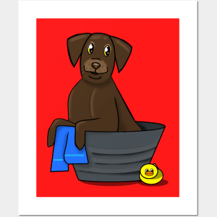 Dog Bath Posters and Art